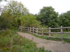 Enjoy the trails at Westminister Ponds 