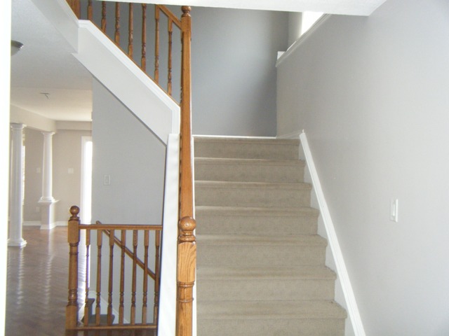 Carpeted Stairs leading to 2nd Floor