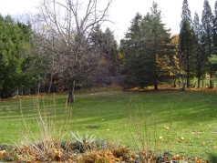 The private parklike backyard is one of the largest in the area 