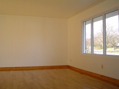 Huge living room with large sunny window and gleaming new hardwood floors 