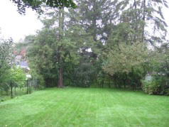  Large private yard with lots of gardens 